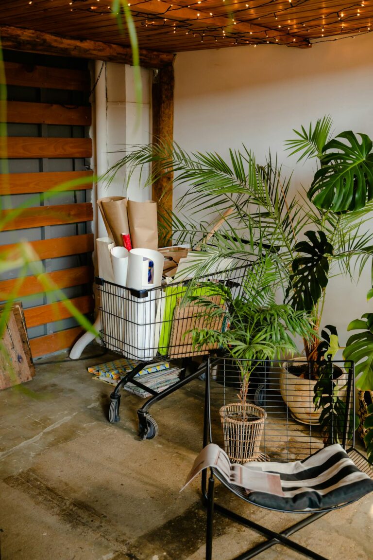 A cozy indoor area with houseplants and a shopping cart filled with items, creating a warm ambiance.